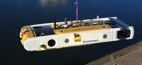 www.frontiersin.org