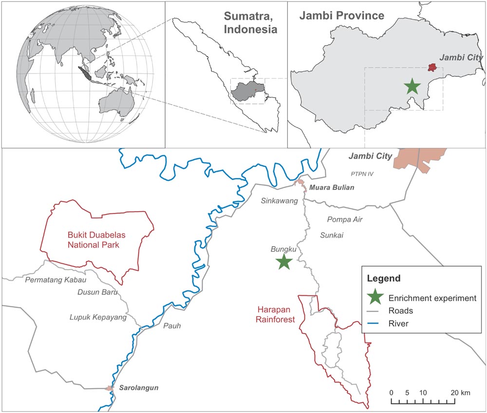 www.frontiersin.org