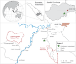 www.frontiersin.org