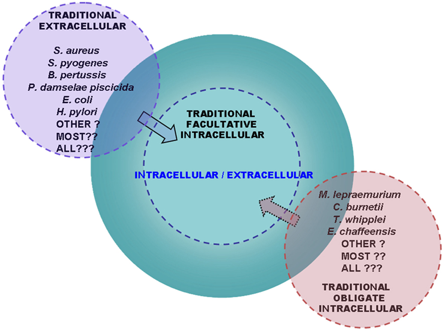 www.frontiersin.org