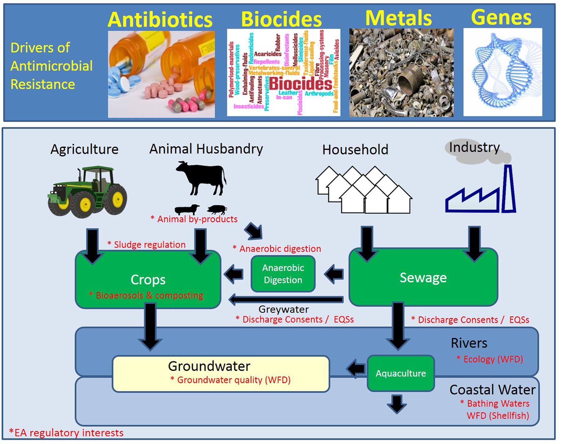 research on antimicrobial resistance