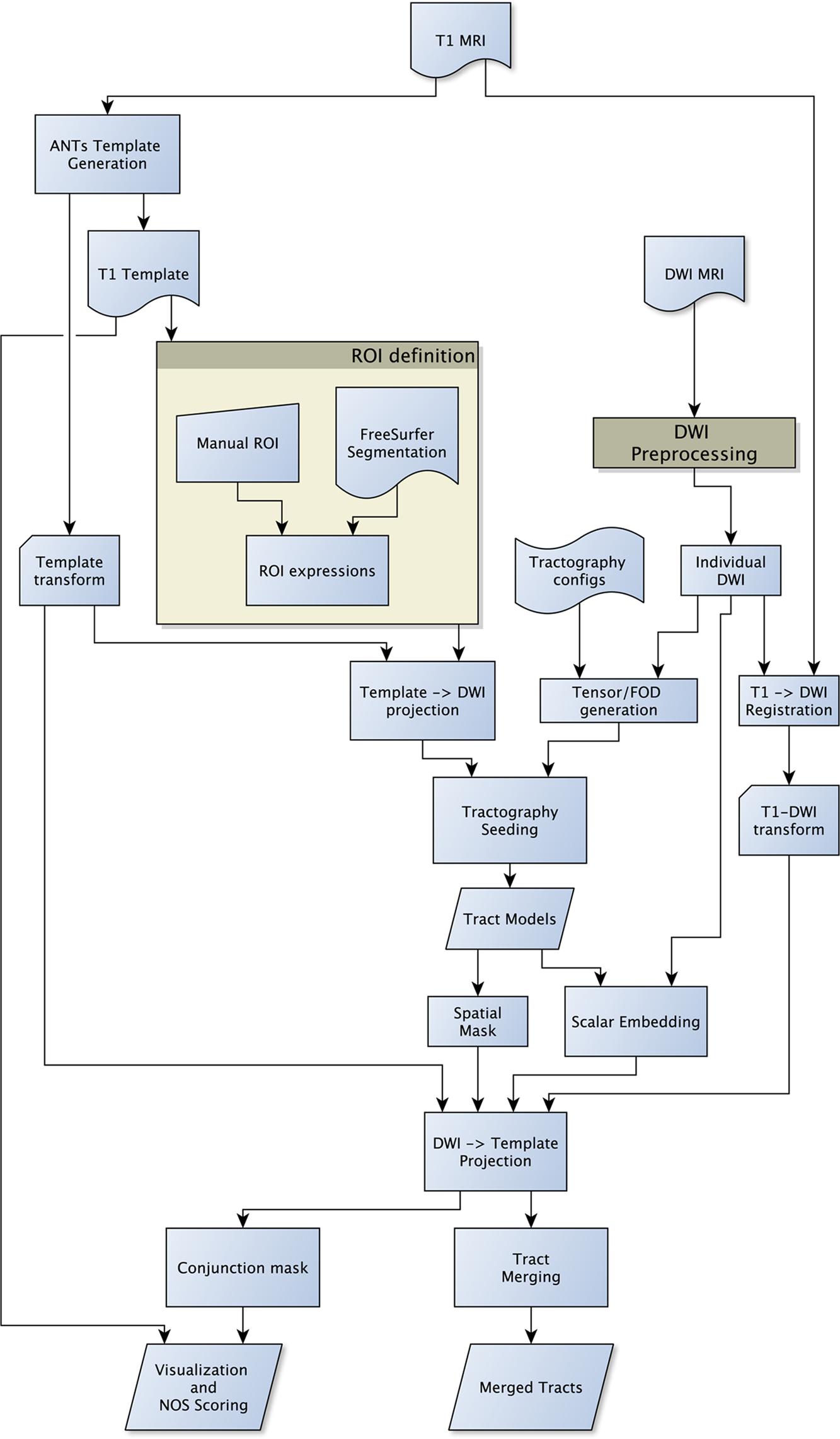 Frontiers | Merged Group Tractography Evaluation with Selective ...