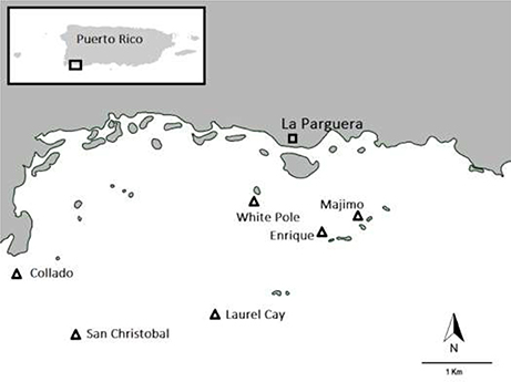 www.frontiersin.org