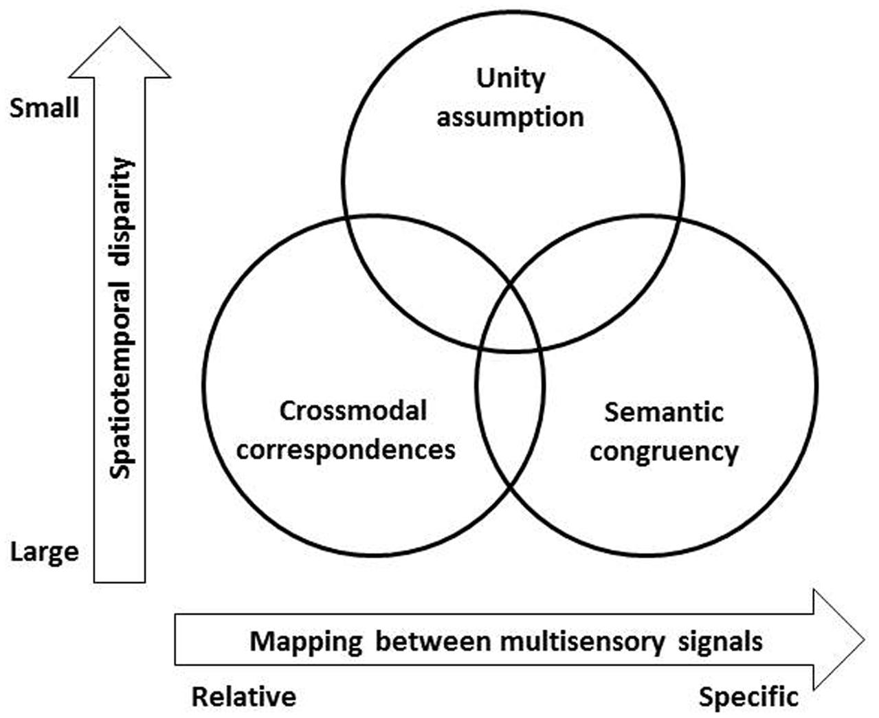 The role of olfaction in human multisensory development