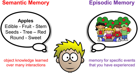 15 Semantic Memory Examples (2023)