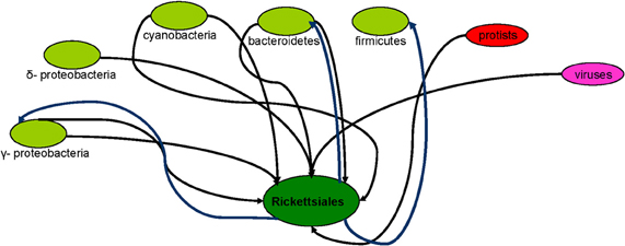 www.frontiersin.org