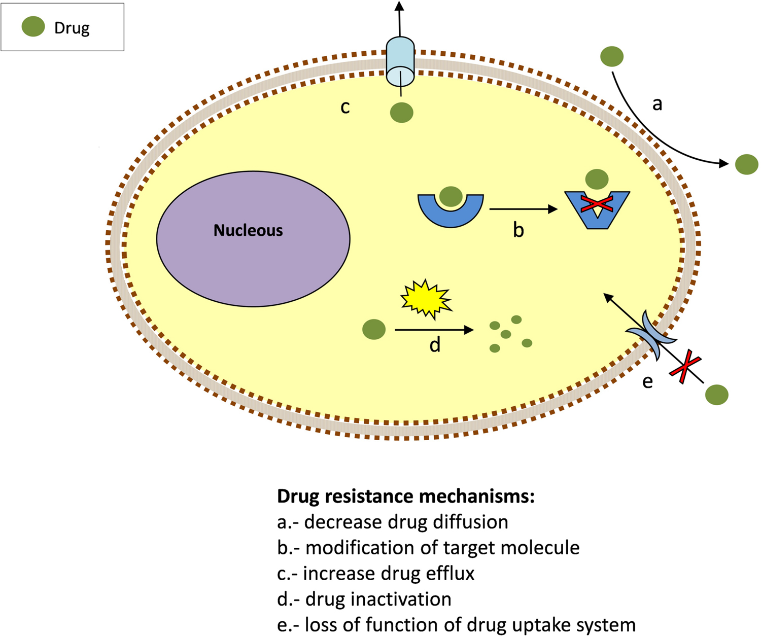 Frontiers | New Approaches to Overcome Transport Related Drug Resistance in ...