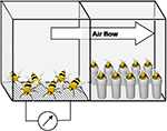 www.frontiersin.org