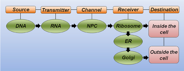 www.frontiersin.org