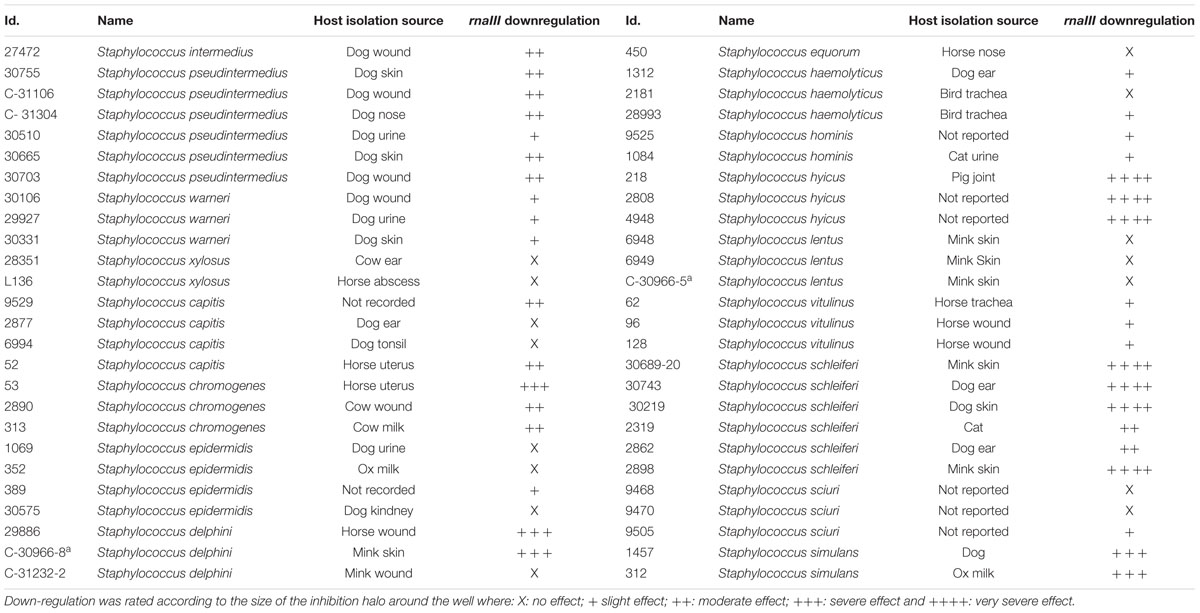 Frontiers  Cross-Talk between Staphylococcus aureus and Other  Staphylococcal Species via the agr Quorum Sensing System