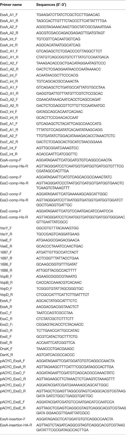 Frontiers Exse Is A Negative Regulator For T3ss Gene Expression In Vibrio Alginolyticus Cellular And Infection Microbiology