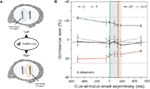 www.frontiersin.org