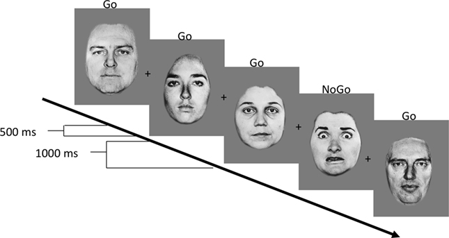 psyscope language psyscope language