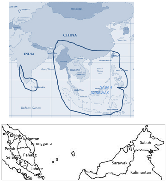 www.frontiersin.org
