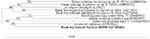 www.frontiersin.org