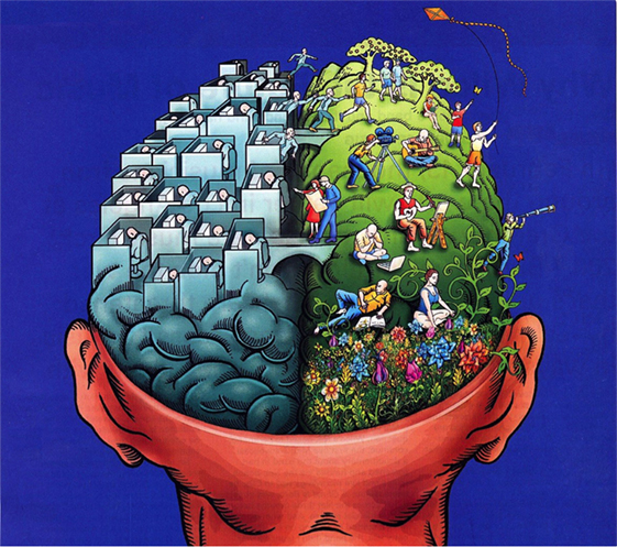 איור 3 - מיתוס המוח הימני והשמאלי אנשים נהגו לחשוב ששני צדדי המוח מתמחים בפעילויות שונות: המוח השמאלי ההגיוני (רציונלי) והמוח הימני היצירתי.