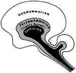 www.frontiersin.org