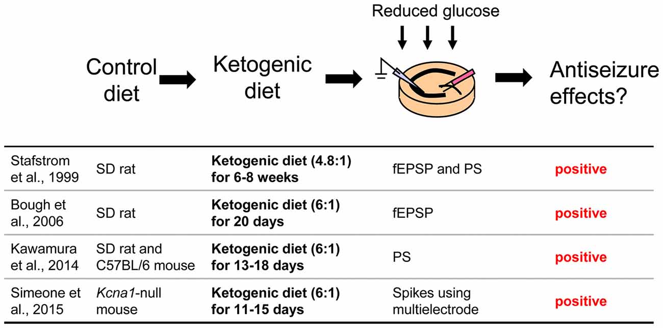 ketogenic diet ratio seizure threshold