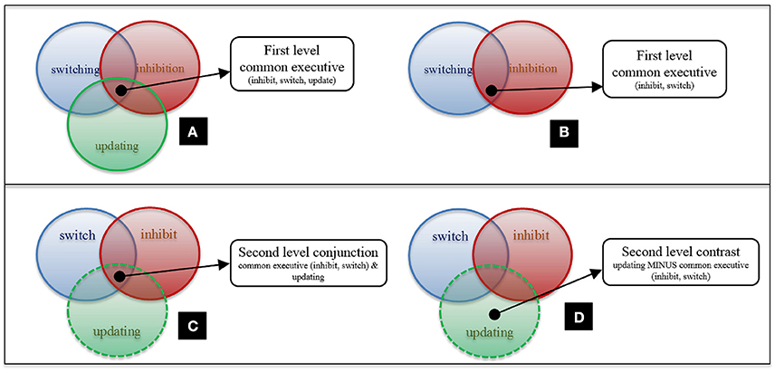 Executive function in typical and atypical development clearance