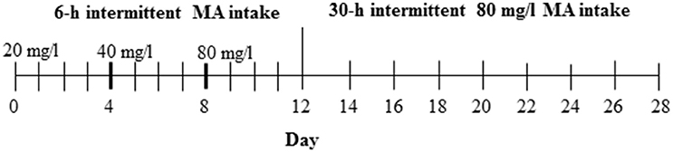 www.frontiersin.org