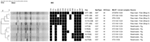 www.frontiersin.org