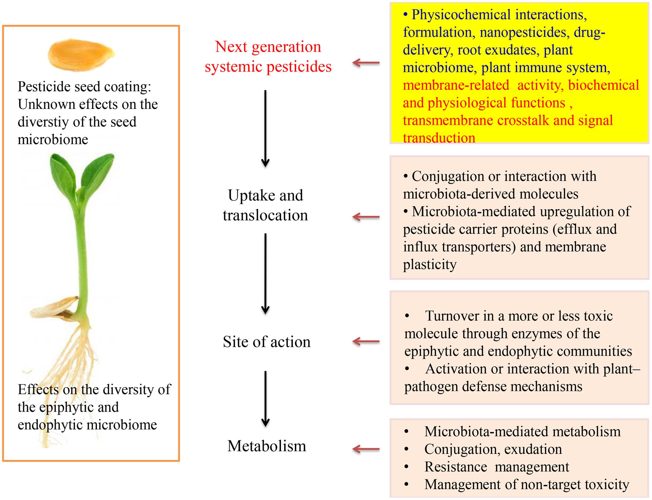 The Plant as Metaorganism and Research on Systemic Pesticides – Prospects and Challenges