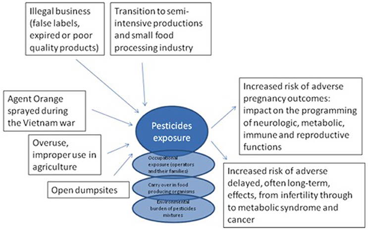 Frontiers Risk Factors For Non Communicable Diseases In Vietnam A Focus On Pesticides Environmental Science
