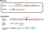 www.frontiersin.org