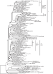 www.frontiersin.org