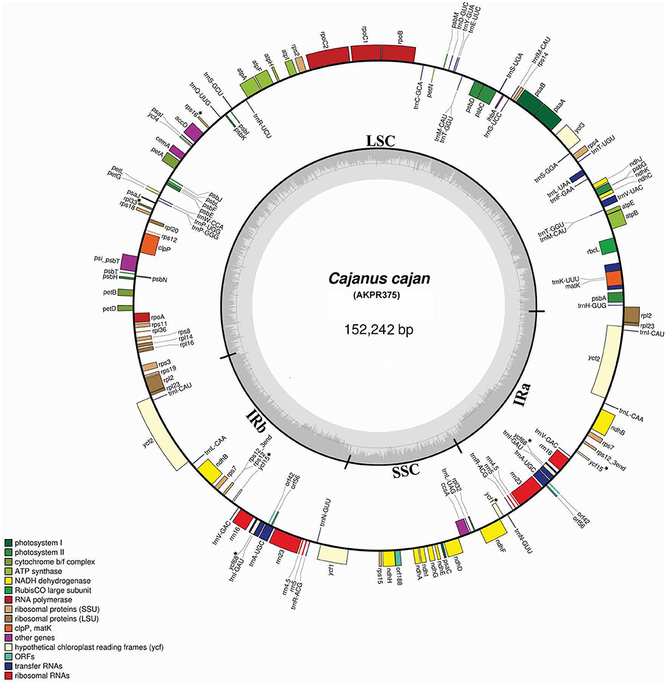 Frontiers Chloroplast Genome Sequence Of Pigeonpea - 