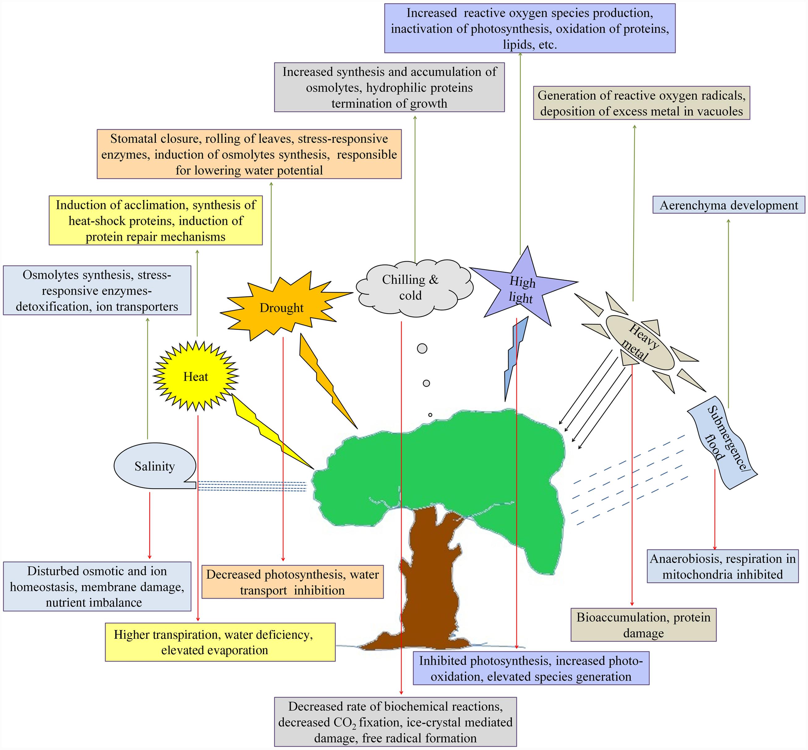 download theory and calculations of