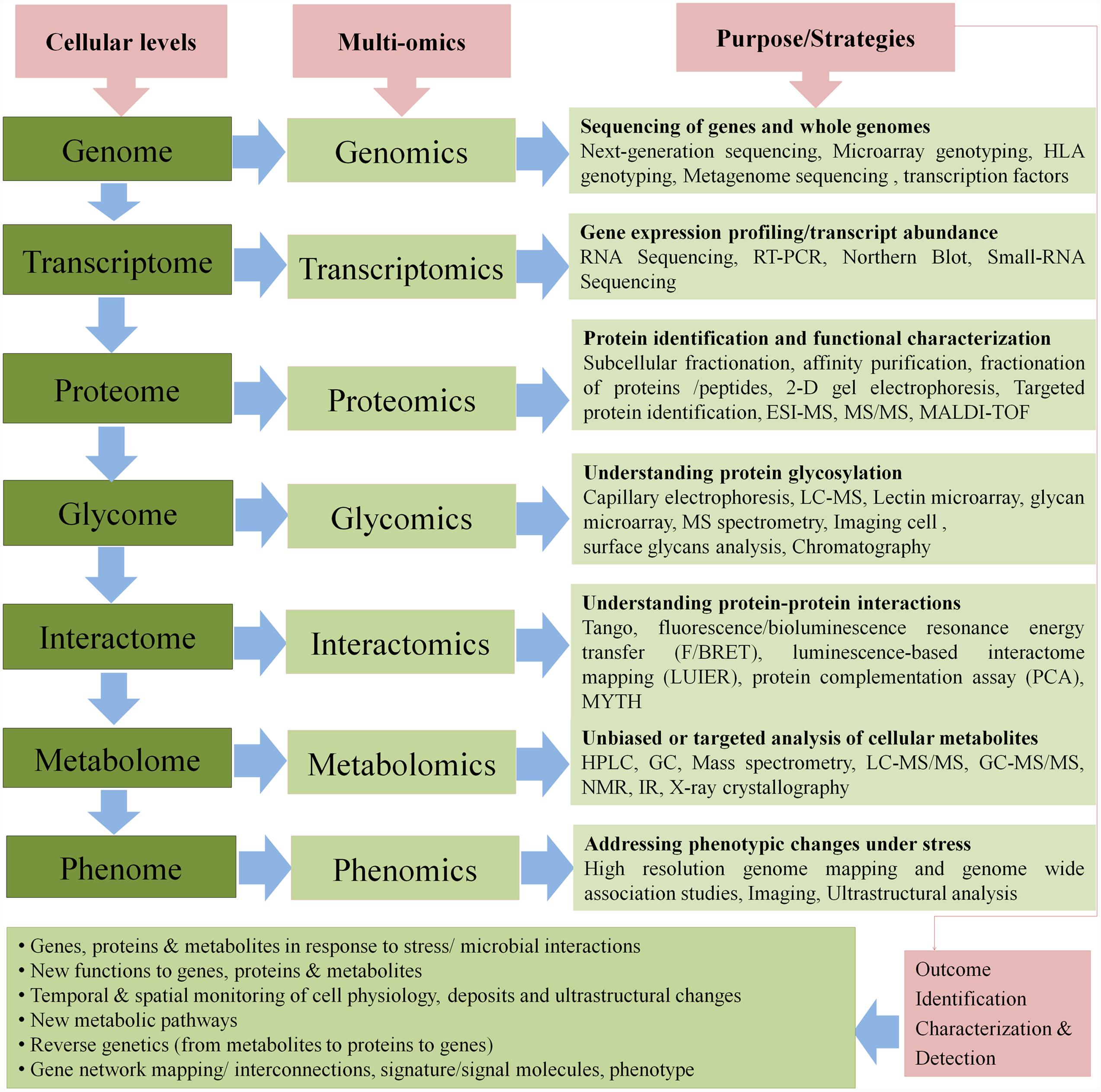 free modelling radiocesium in lakes and coastal areas new approaches for ecosystem modellers a