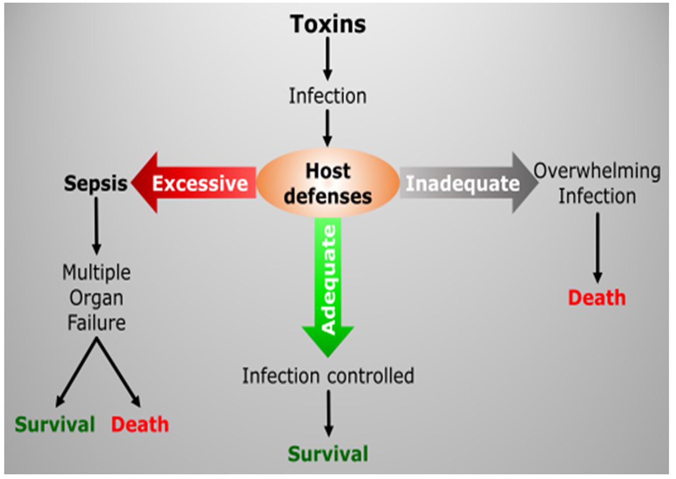 www.frontiersin.org
