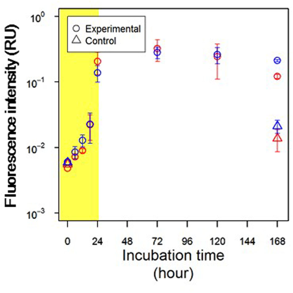 Genomes of surface isolates of Alteromonas macleodii: the life of a  widespread marine opportunistic copiotroph