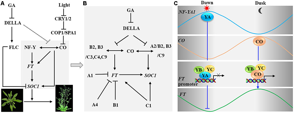 Y-factor - Wikipedia