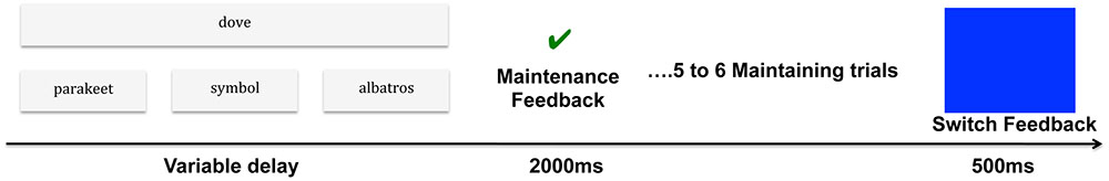 www.frontiersin.org