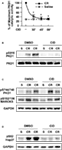 www.frontiersin.org