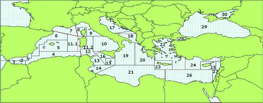 www.frontiersin.org