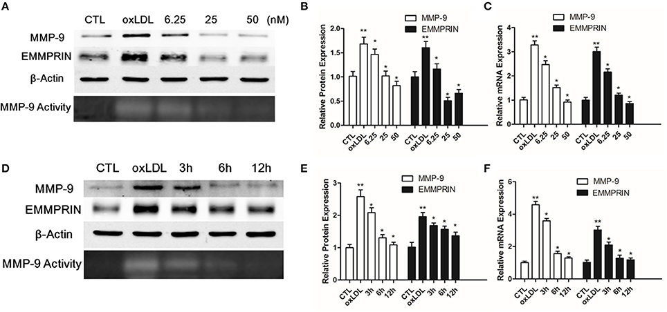 Frontiers | Curcumin Alleviates oxLDL Induced MMP-9 and