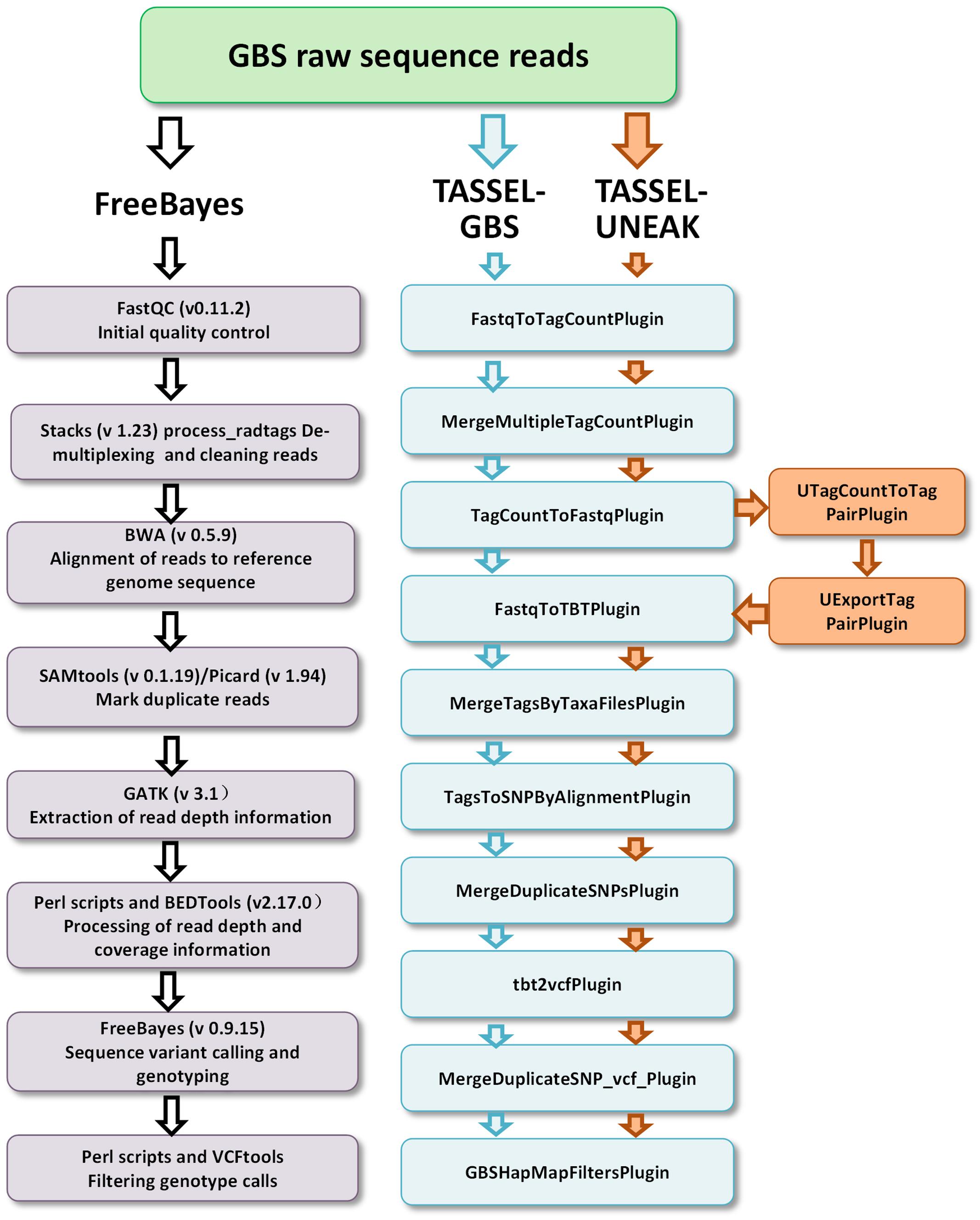 Frontiers The Impact Of Genotyping By Sequencing Pipelines On Snp Discovery And Identification Of Markers Associated With Verticillium Wilt Resistance In Autotetraploid Alfalfa Medicago Sativa L Plant Science