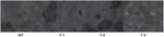 www.frontiersin.org
