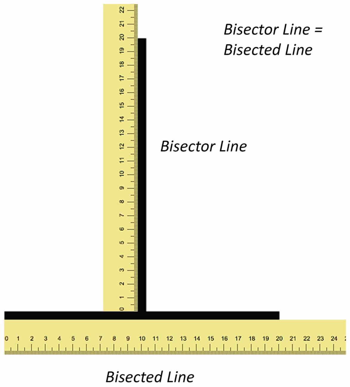 www.frontiersin.org