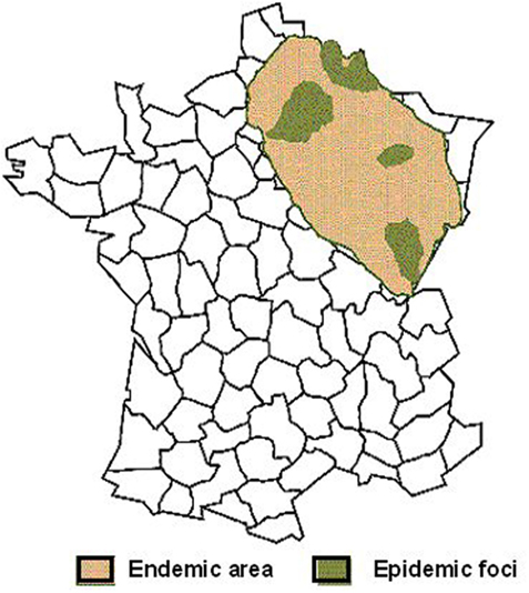 www.frontiersin.org