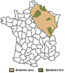 www.frontiersin.org