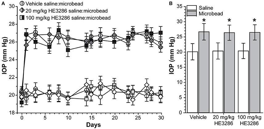 Cautionary notes on the use of NF-κB p65 and p50 antibodies for CNS studies, Journal of Neuroinflammation