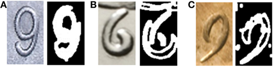 www.frontiersin.org
