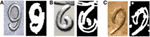 www.frontiersin.org