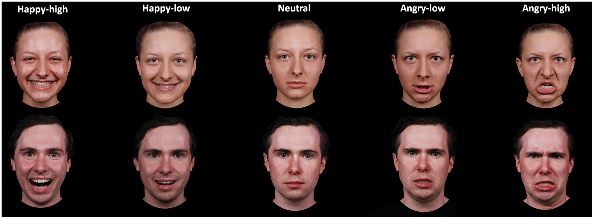 Facial hair may slow detection of happy facial expressions in the face in  the crowd paradigm