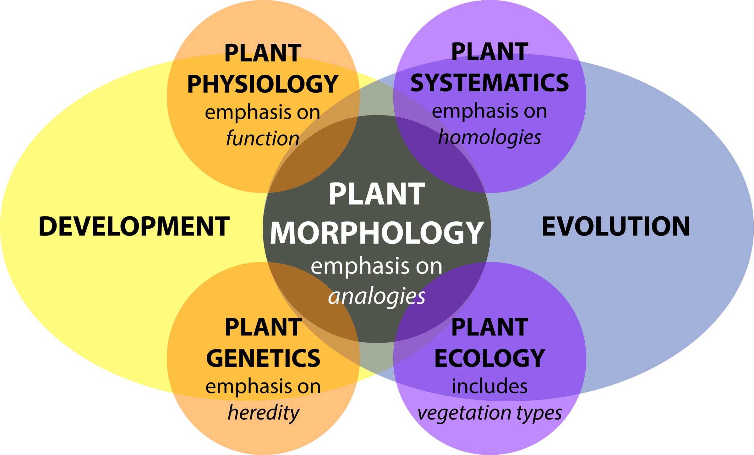 Thomas Mitchell  Center for Applied Plant Sciences