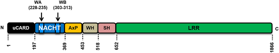 www.frontiersin.org